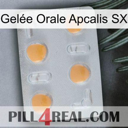 Gelée Orale Apcalis SX 24